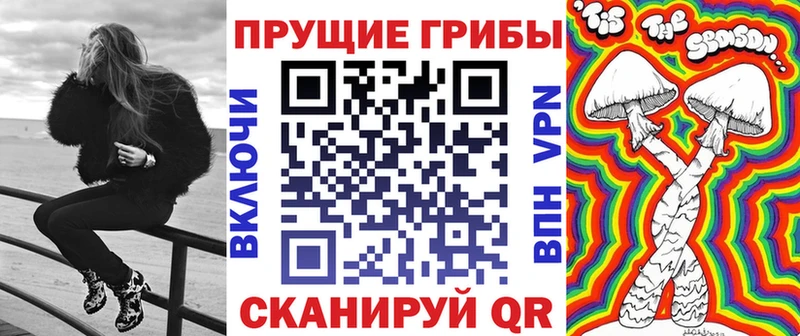 hydra как зайти  Димитровград  Псилоцибиновые грибы Magic Shrooms 